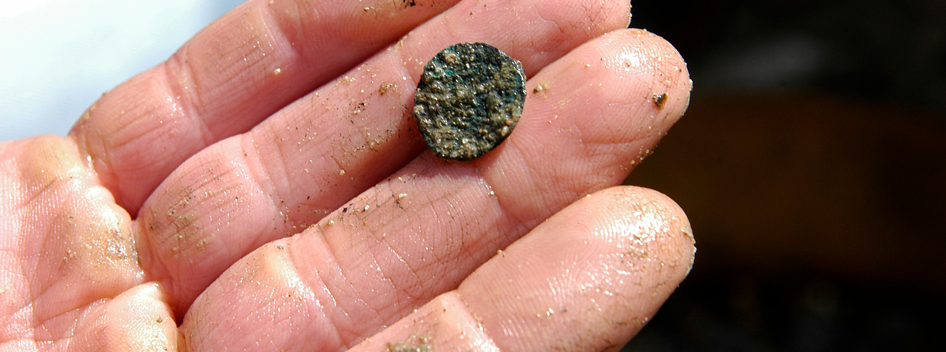 Frisch geborgene Fundmünze Reiss-Engelhorn-Museen Mannheim, Foto: Klaus Wirth Eine Nahaufnahme einer Person mit sandigen, nassen Fingern, die ein kleines, rundes, korrodiertes Objekt hält, das einer alten Münze oder einem Artefakt ähnelt.