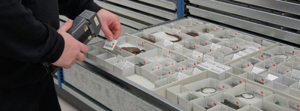 Eine Person scannt beschriftete Artefakte in kleinen Kisten mit einem tragbaren Barcode-Scanner und ordnet die Gegenstände in einer Schublade mit mehreren Fächern. Eine Person scannt beschriftete Artefakte in kleinen Kisten mit einem tragbaren Barcode-Scanner und ordnet die Gegenstände in einer Schublade mit mehreren Fächern.